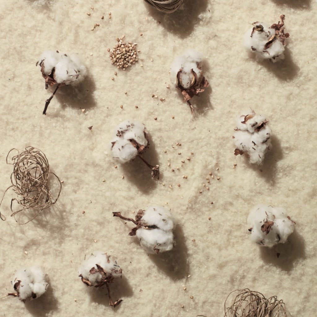 Algodón Orgánico