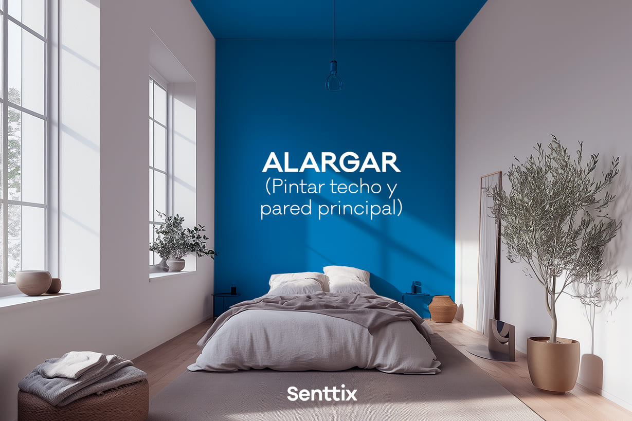 HABITACIÓN CON TECHO Y PARED PRINCIPAL PINTADAS 