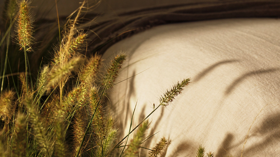 buenos buenos días colchón senttix